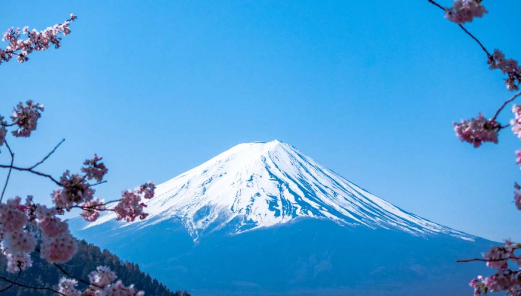 Japan Is The Next Country You Should Visit