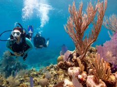 PADI LAUNCHES COVID-19 DIVE STATUS MAP SHOWING WHERE DIVING IS AVAILABLE padi diving location