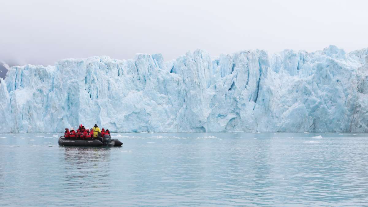 expeditions to the Arctic