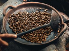 Indulge in Luxury Coffee: Kopi Luwak from the Philippines Coffee: Kopi Luwak from the Philippines