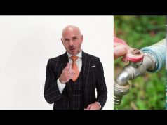 Wyland Foundation eco-jewels benefit conservation