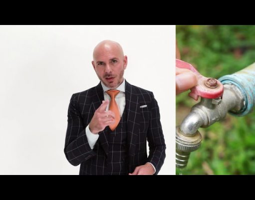 Wyland Foundation eco-jewels benefit conservation