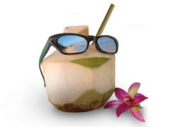 The Hungry Traveller – Experience & Taste the World! foodie travel book