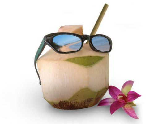 The Hungry Traveller – Experience & Taste the World! foodie travel book