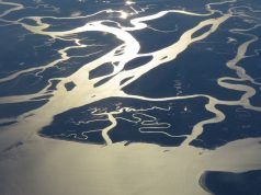 Discover State Parks, Hidden Gems & Off-The-Beaten Track Wonders in Florida florida state parks