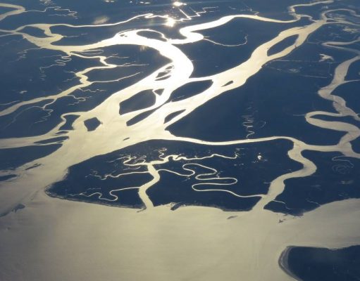 Discover State Parks, Hidden Gems & Off-The-Beaten Track Wonders in Florida florida state parks