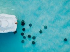 Cayman Islands Launches Global Citizen Concierge Programme Cayman Islands