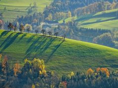 Hitting the road this fall? Don’t make these road trip mistakes! fall road trip