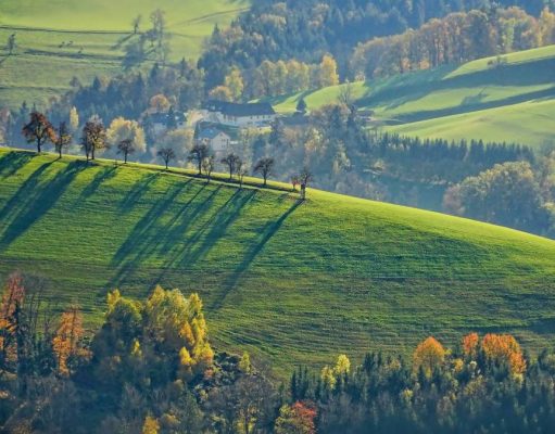 Hitting the road this fall? Don’t make these road trip mistakes! fall road trip