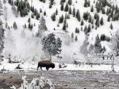 National Parks in Winter – America’s Best Kept Secret national park in winter