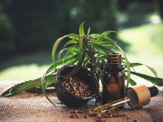 An Introduction to CBD Can You Travel with CBD Oil?