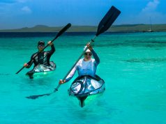 Bonaire’s New Streamlined Visitor Entry Tax to go into Effect on July 1st