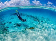 AA and Delta to add daily flights to Bonaire, making it even easier to visit!