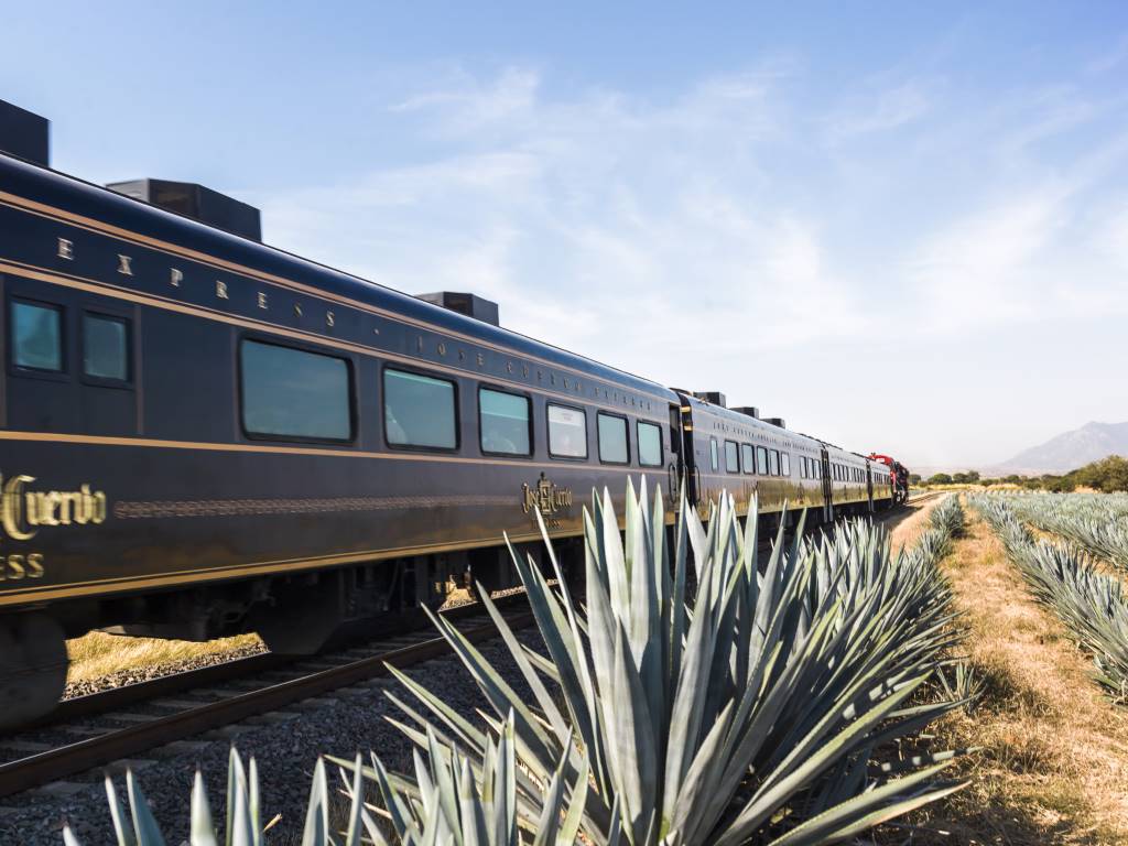 All-You-Can-Drink Tequila Train