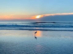 Five Great Reasons to Visit Daytona Beach in the Winter Visit Daytona Beach in the Winter