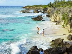 What to do when Visiting Bonaire in 2021