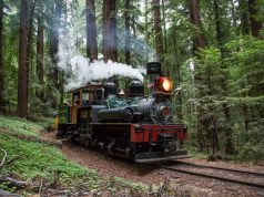 Experience Santa Cruz County’s Redwood Forests Train Ride