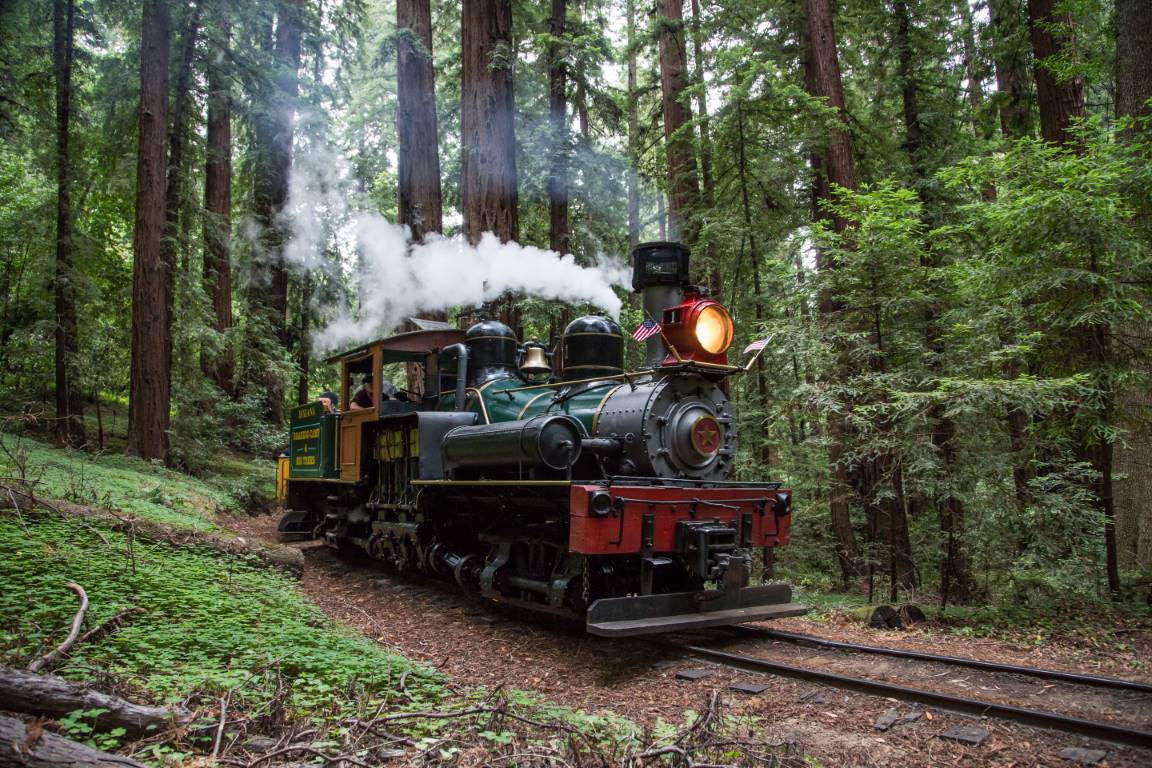 kontakt Ledig Uforglemmelig Experience Santa Cruz County's Redwood Forests