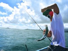 6 Reasons Why You Should Take Up Fishing On Your Next Trip