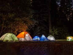 Things You Need to Bring on Your First Camping Trip camping