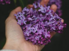 How Flower Varieties Change Based on States in the U.S.