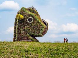 outdoor art racking horse made of flowers