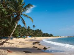 Most Exciting Spots to Visit in Sri Lanka Sri Lanka - beach