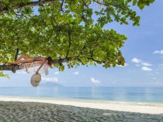 Where is the Best New Hotel in the Seychelles girl in a palm tree on a tropical beach