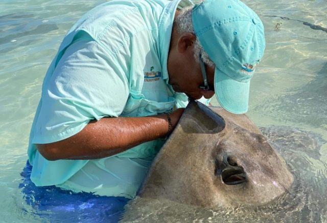 Stingray Whisperer Bahamas