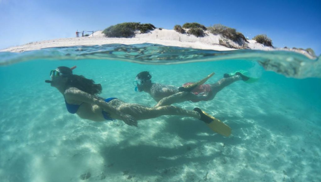 people swimming near the autralian coral reefs