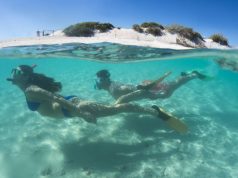 Exmouth and Ningaloo Reef receive worthy recognition this week people swimming near the autralian coral reefs