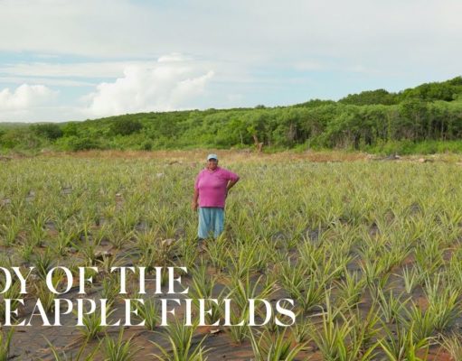 Introducing the other famous “Lady Di” … from The Bahamas!