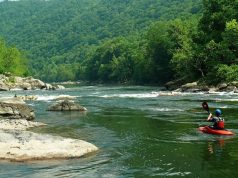 Venture Out Into Virginia! 5 Outdoor Adventures for First-Time Visitors river kayaking