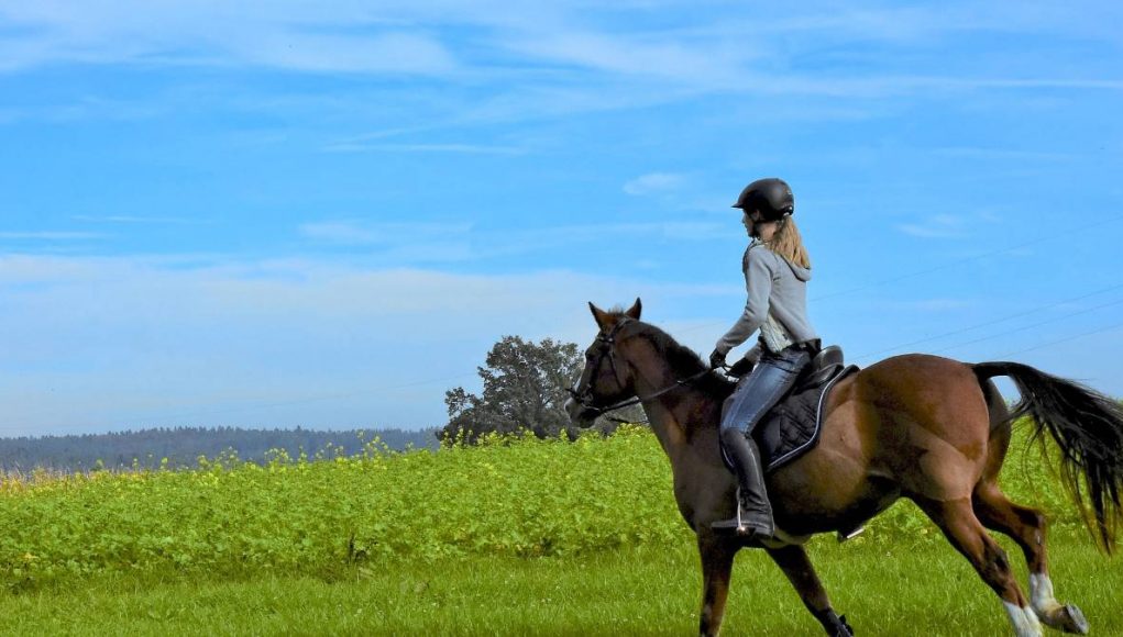 girl riding a horse in california