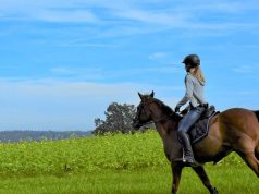 5 Best Equestrian Spots in California girl riding a horse in california