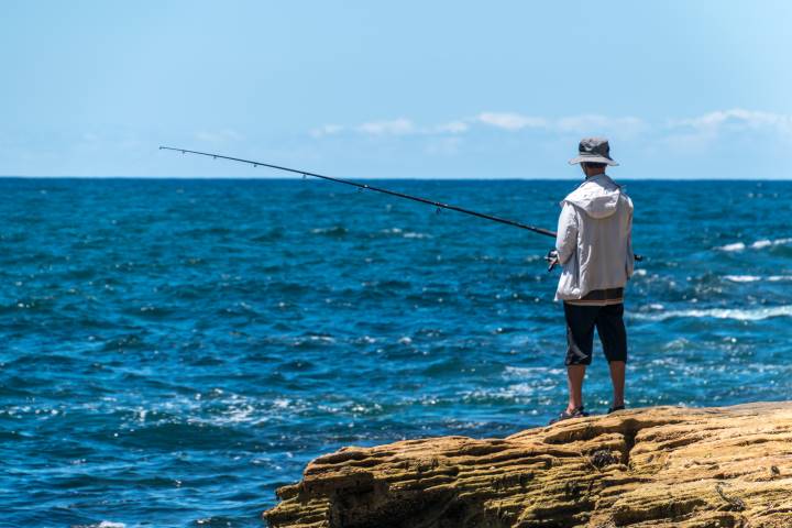 surf rod in Queensland, Fishing