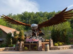 The Best Rides at Dollywood Wild Eagle Dollywood