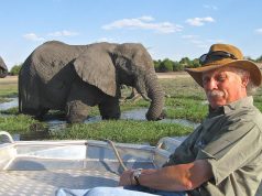EXODUS TRAVELS & THE AFRICAN WILDLIFE FOUNDATION man on safari viewing elephants
