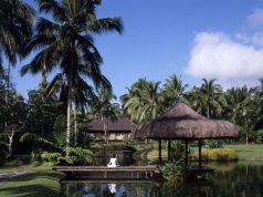 Mental Health and Pain Management Programs at The Farm wellness travel