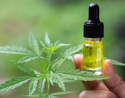The Advantages Of Using CBD Oil cbd oil