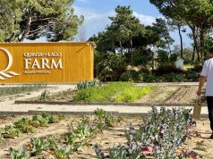 Immunity Boosting Juices to Nurture Residents During Lockdown Quinta Farm - Head Chef Gareth