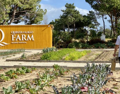 Immunity Boosting Juices to Nurture Residents During Lockdown Quinta Farm - Head Chef Gareth