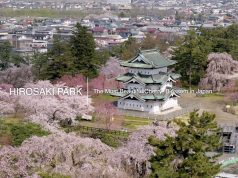 HIROSAKI PARK – THE MOST BEAUTIFUL CHERRY BLOSSOMS IN JAPAN