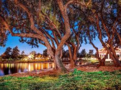 Top 10 Reasons For A Southern California Wine Country Getaway Temecula, United States