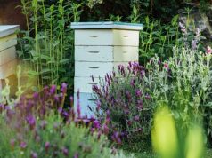 Fairmont Empress celebrates Earth Day with eco-friendly programming bee hives at the Fairmont Empress Hotel