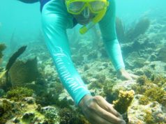 Accor Hotels are Taking Strides in Caring for the Environment swimmer planting coral