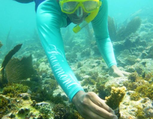 Accor Hotels are Taking Strides in Caring for the Environment swimmer planting coral