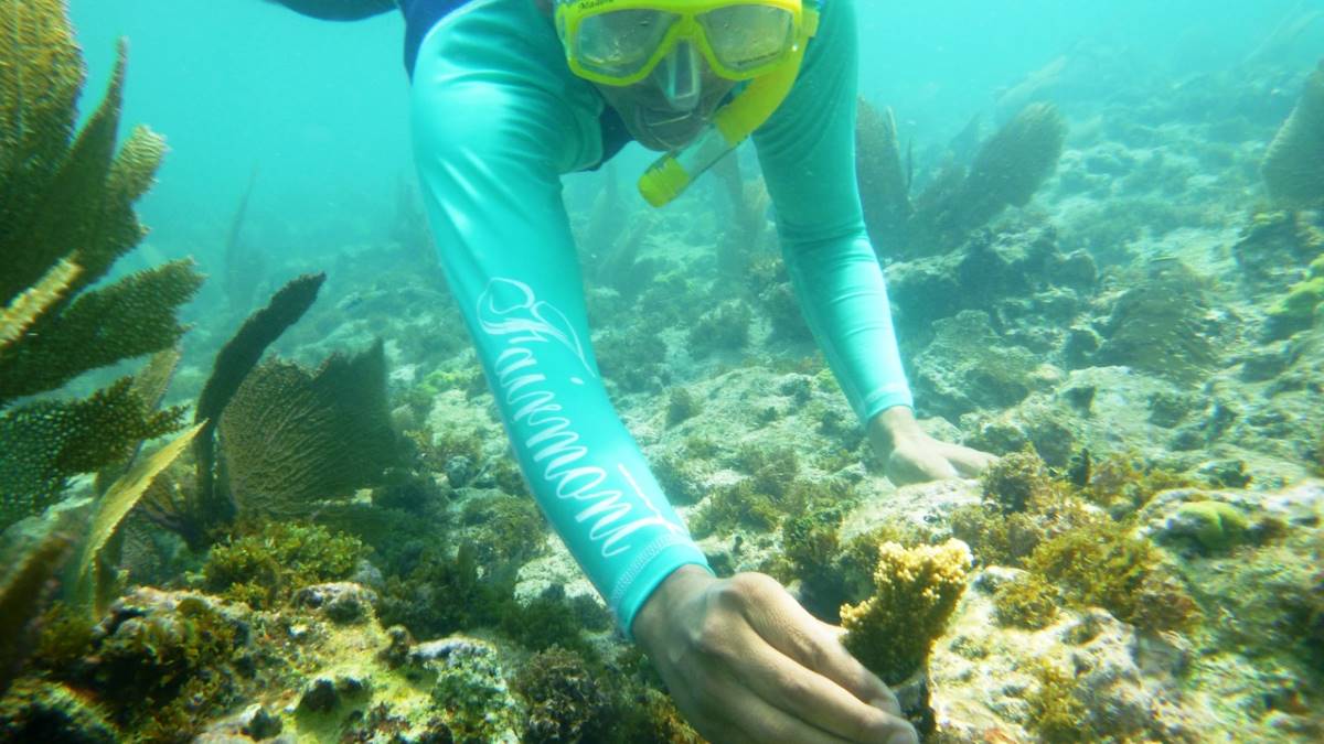 swimmer planting coral