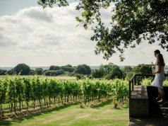 UK Day Trips: Vineyard Tours & Picnics at Gusbourne Winery in Kent day trip to a winery in the UK