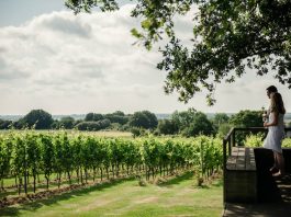day trip to a winery in the UK